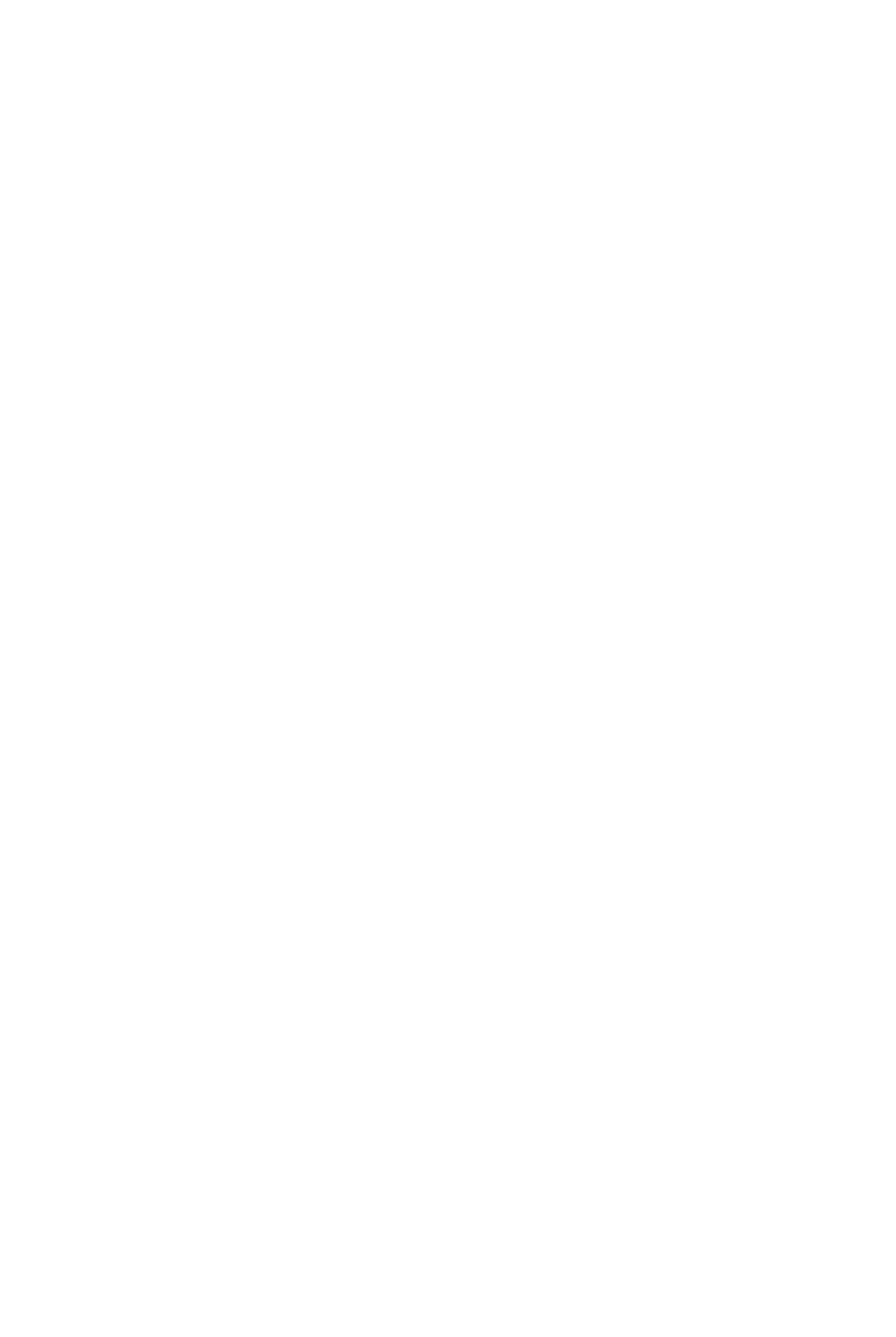beinei logo white